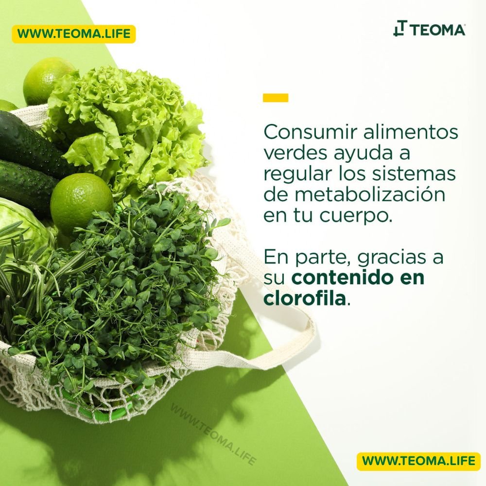 CLOROFILA TEOMA 350 ML