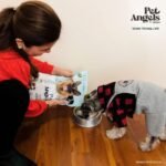 COMIDA PARA PERROS PERU