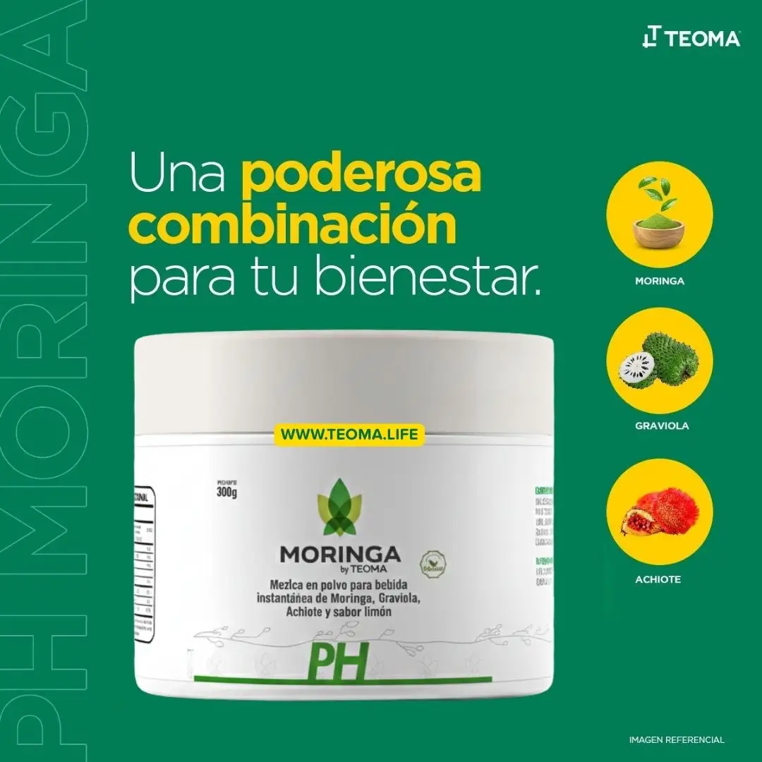 PH MORINGA POTE 300 GRAMOS