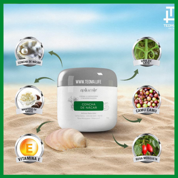 CREMA ILUMINADORA Y REGENERADORA CONCHA DE NACAR