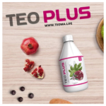 TEOPLUS - Imagen 3