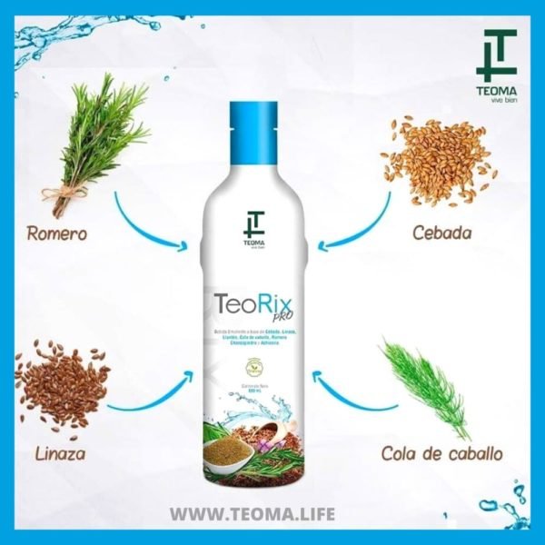 TEORIX PRO